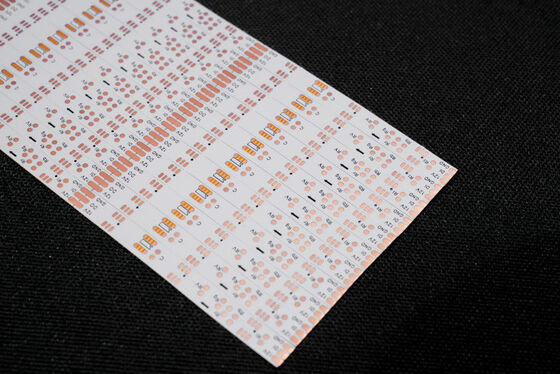 comprare Striscia LED FPC a doppio strato con design PCB personalizzato e livello di protezione antincendio V0 online manufacture